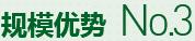 購(gòu)買(mǎi)蔬菜種子，鼎牌優(yōu)勢(shì)三