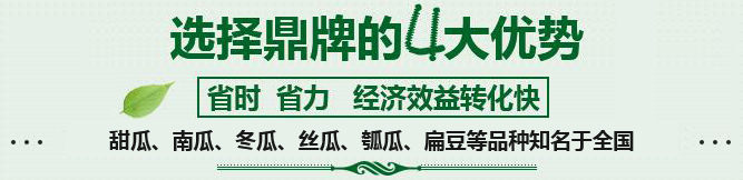購(gòu)買(mǎi)蔬菜種子，選擇鼎牌的四大優(yōu)勢(shì)