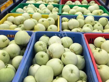 蔬菜種子種植戶客戶點評-5元1斤，這個新品種真香甜！