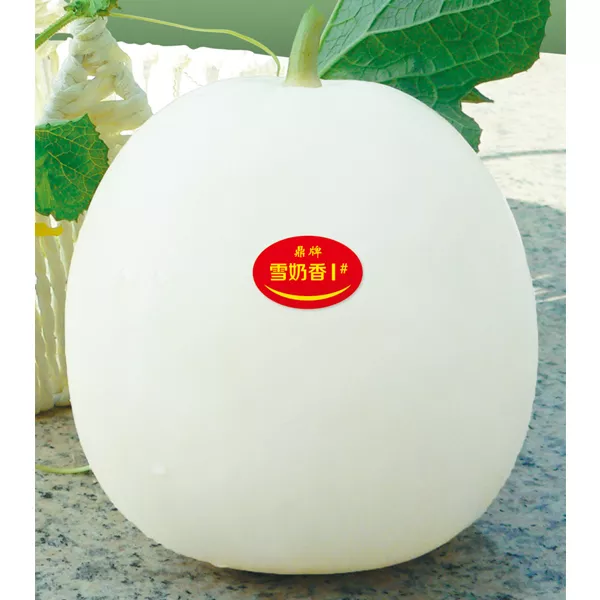 薄皮甜瓜，哪個(gè)品種最好呢？畝產(chǎn)高達(dá)10萬(wàn)，附4種市場(chǎng)爆款品種