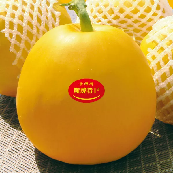 薄皮甜瓜，哪個(gè)品種最好呢？畝產(chǎn)高達(dá)10萬(wàn)，附4種市場(chǎng)爆款品種