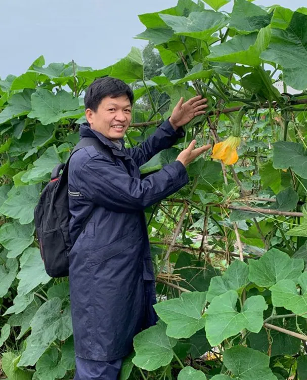 3元1斤的健美蜜本南瓜快成熟了，緬甸種植戶發(fā)來圖片與視頻