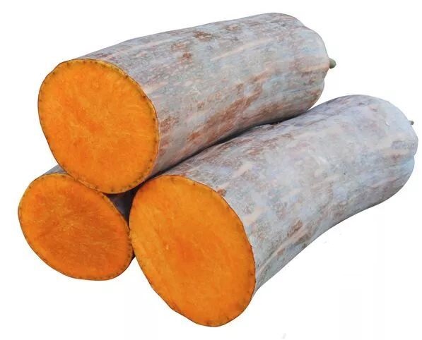 生吃都好吃南瓜新品種，沒有大肚子，肉質(zhì)更密致，農(nóng)戶試種下
