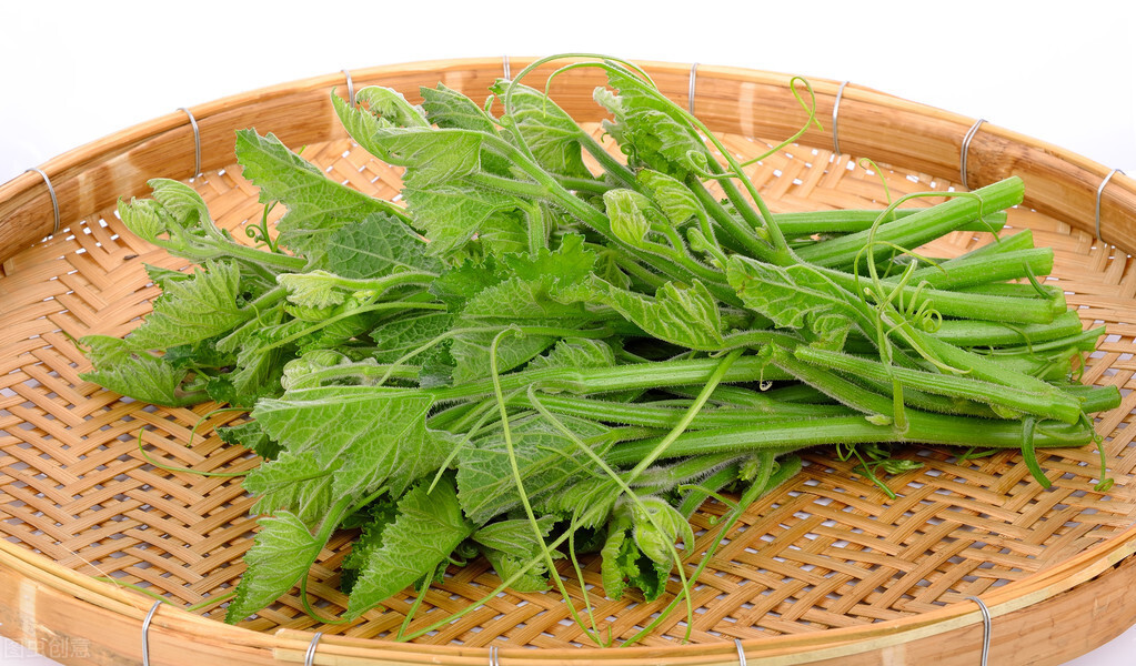 種這種綠葉菜，栽培輕松，畝產(chǎn)值過萬元，菜農(nóng)表示很劃算