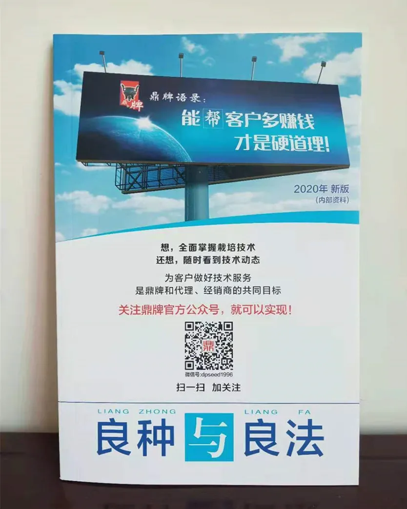 河南焦作的李向林今年種植甜瓜新品種，客戶直接拉貨走人
