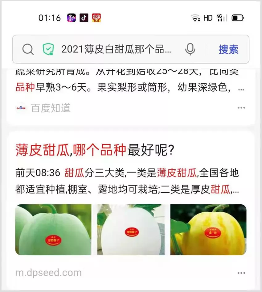 河南焦作的李向林今年種植甜瓜新品種，客戶直接拉貨走人