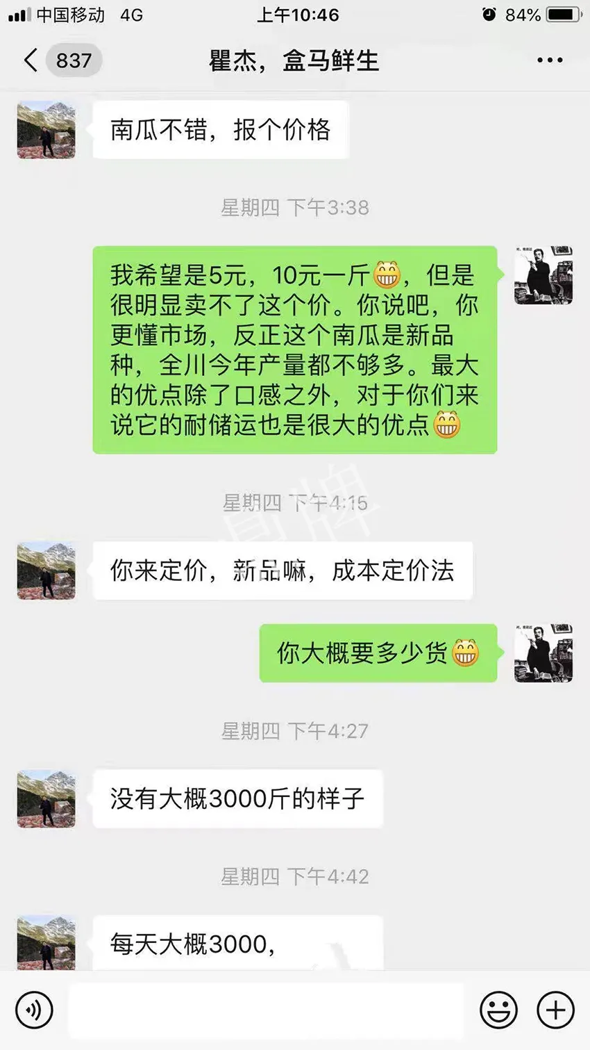 四川農(nóng)戶今年種“健美蜜本”南瓜產(chǎn)量高，品質(zhì)好，感覺巴適得很