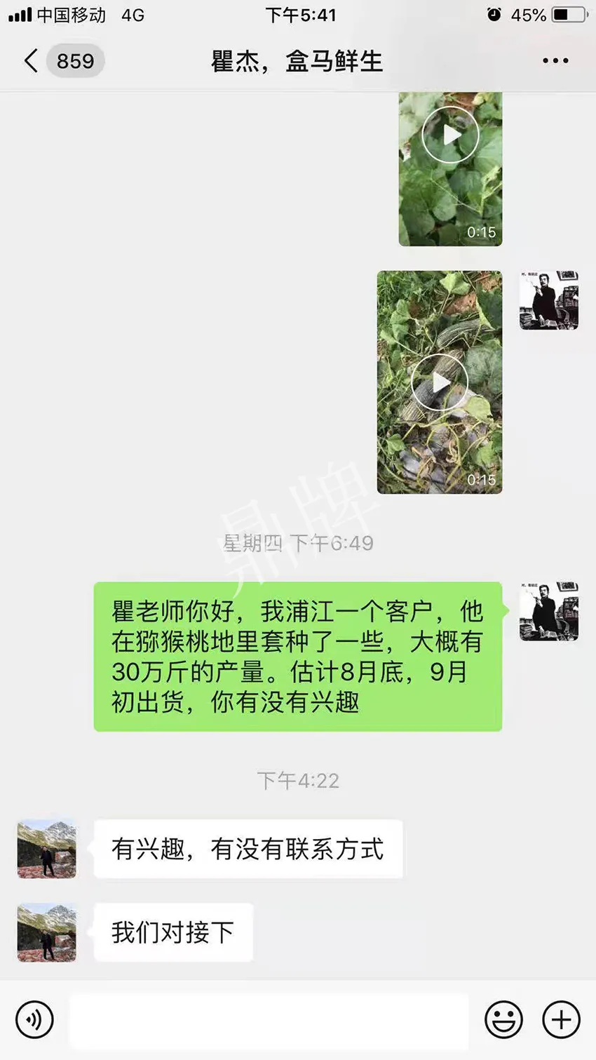 四川農(nóng)戶今年種“健美蜜本”南瓜產(chǎn)量高，品質(zhì)好，感覺巴適得很