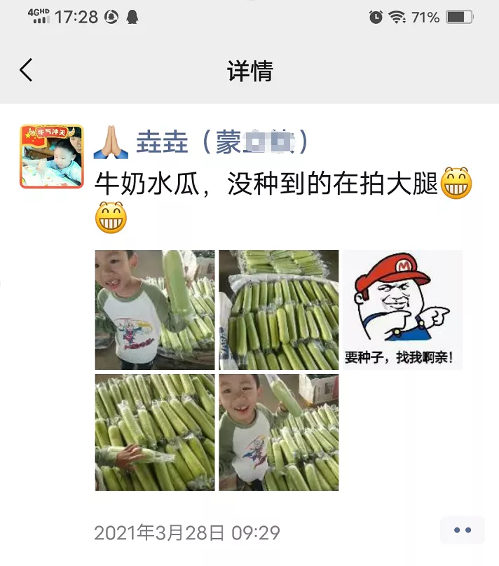 這個(gè)絲瓜每畝能掙3萬，沒種植的農(nóng)戶后悔得拍大腿