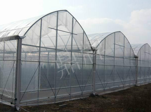 蔬菜種子種植戶客戶點評-鼎牌瓠瓜上市早，地頭批發(fā)價達到8元/斤，種植基地王老板告訴您！