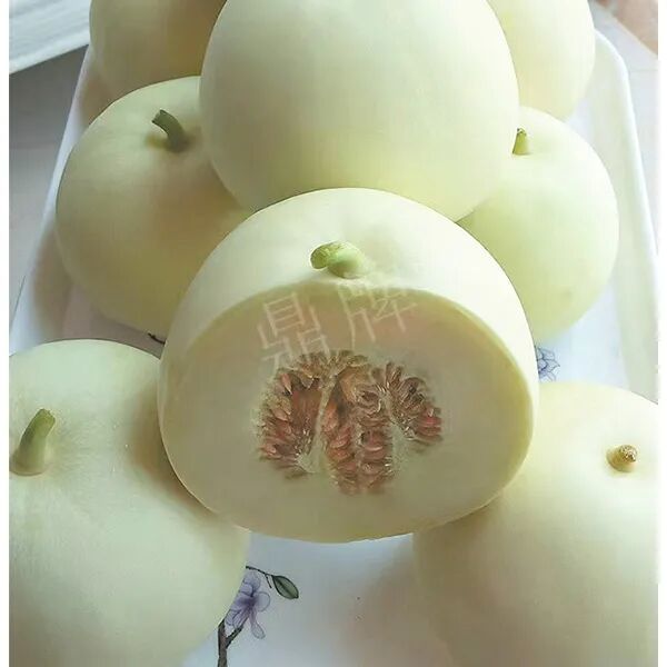 蔬菜種子種植戶(hù)種植心得-這個(gè)品種幫我留一些，4月份我們當(dāng)?shù)剡€要種一批